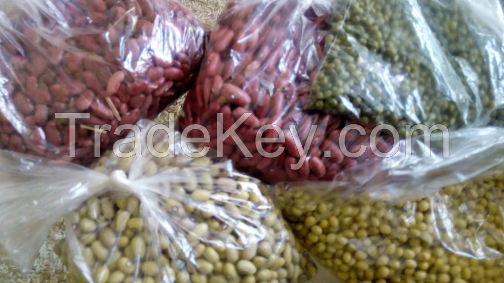 Soya beans, Chick peas, sim sim, ground nuts