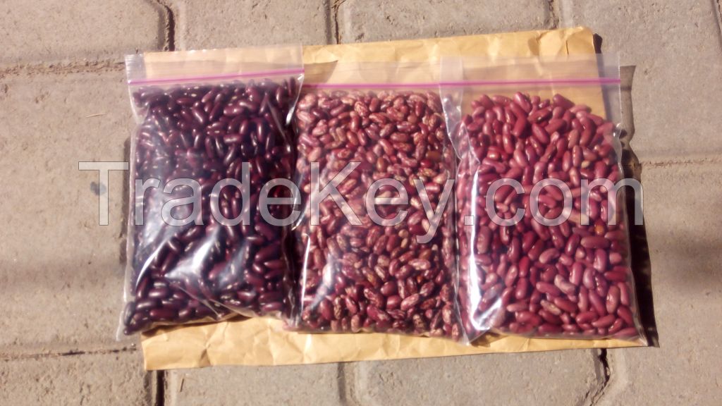 Soya beans, Chick peas, sim sim, ground nuts 