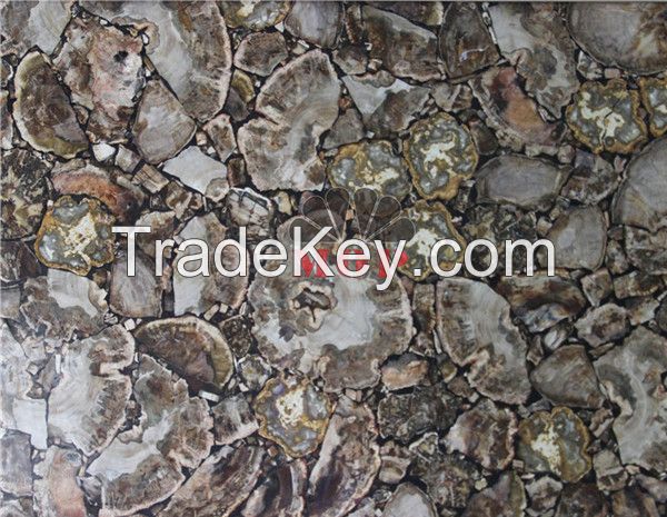 Stone slab petrified wood table sheet