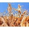 American Ginseng Extract