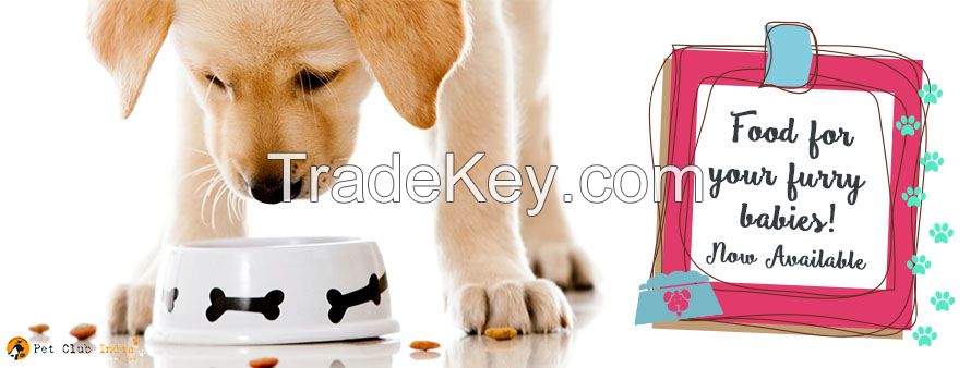 PetClubIndia Online Dog Toys &amp; Accessories at Reasonable Price 