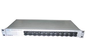 Fast Ethernet Switch