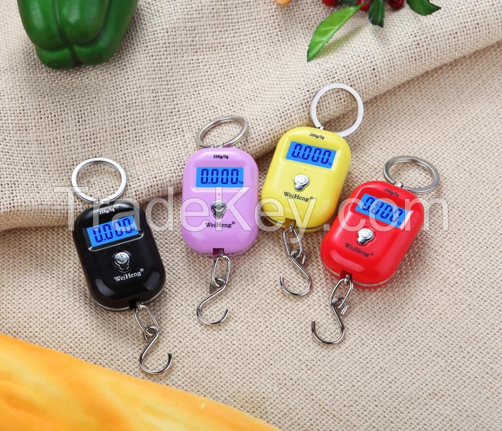 Chinese supplier mini 25 kg portable hanging luggage weighing scale for gift