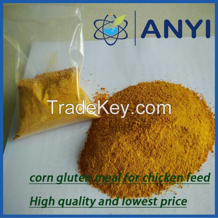 Corn Gluten Meal Chicken Feed for animals