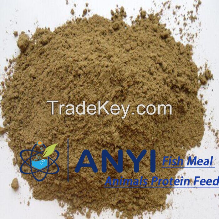 Fish meal for fish feed  Protein:60%~65% min  