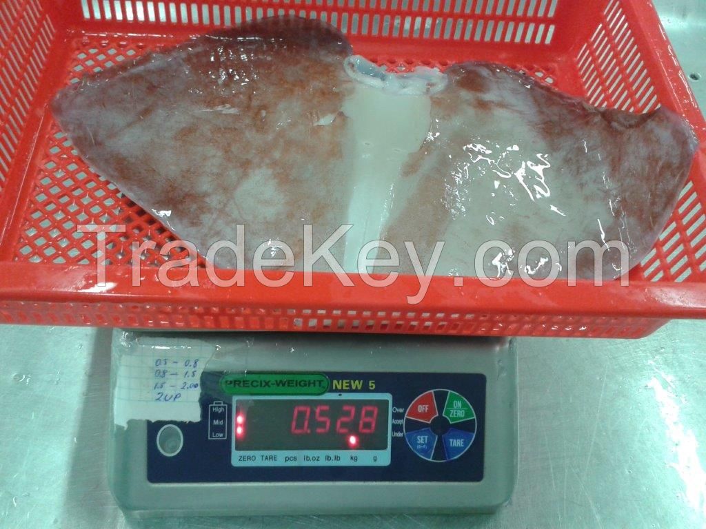 FROZEN GIANT SQUID WINGS 0-1Kg