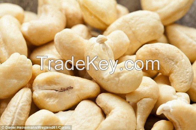 Cashew Nuts W-180-240-320-450