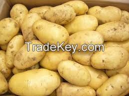 Fresh potatoes