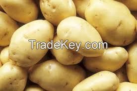 Fresh potatoes