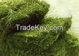 Top Quality Alfafa Hay for Animal Feeding Stuff Alfalfa