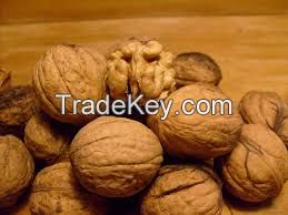 NATURAL DRIED WALNUT KERNELS / UNSHELLED WALNUT / WALNUT IN SHELL