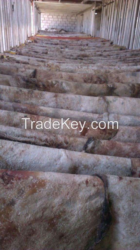 dried salted skin of sheep , goat and cow