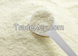 DAIRY - MILK POWDER