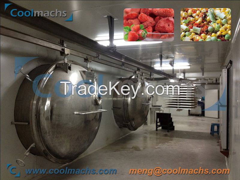 Industrial Vacuum Freeze Dryer / lyophilizer for FD Food production