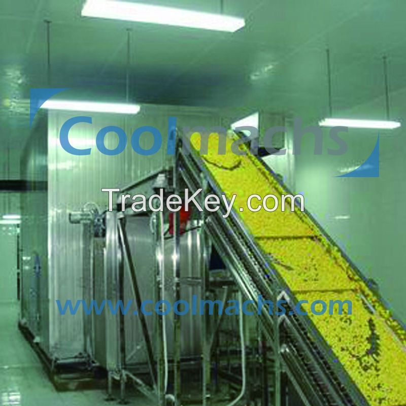 Fluidized Tunnel Freezer for Vegetables Fruits Shrimps Seafood