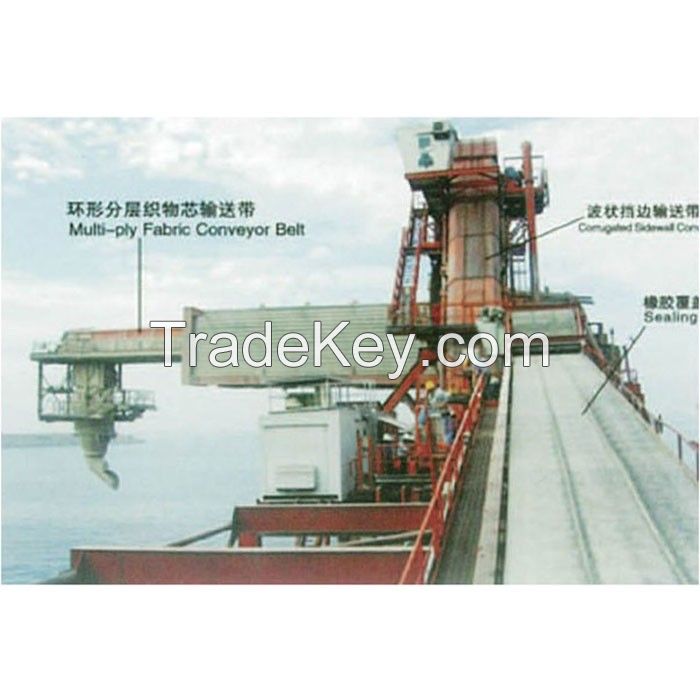 Raised edge conveyor belt