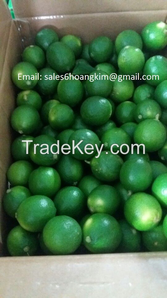 export fresh lemon seedless/ fresh lime