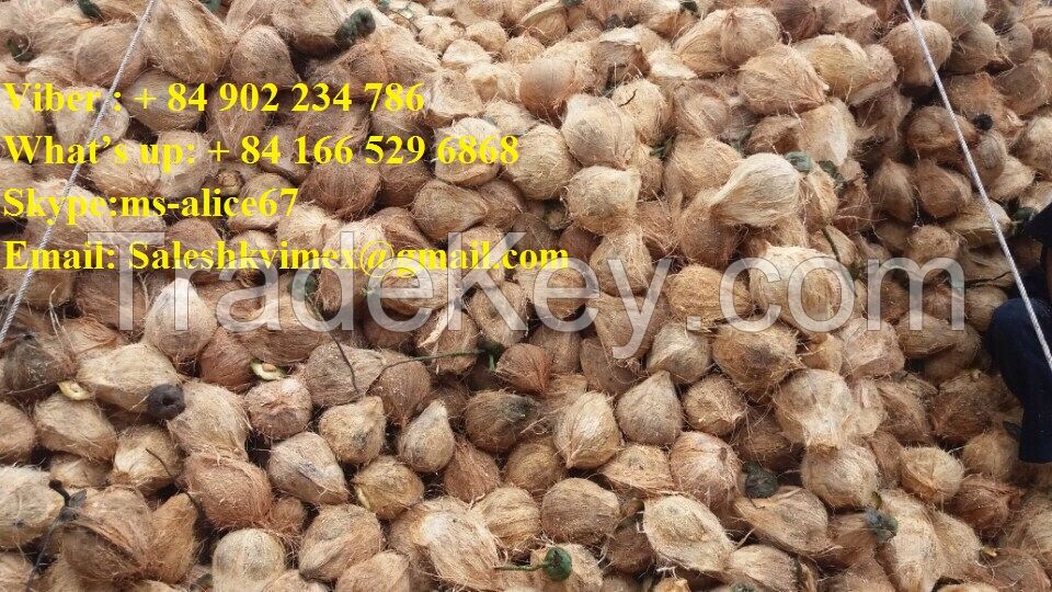 Export fresh coconut/ dried coconut, sell good price and good quality