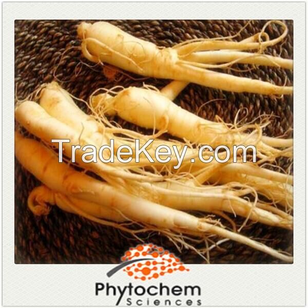 Panax Ginseng Root Extract