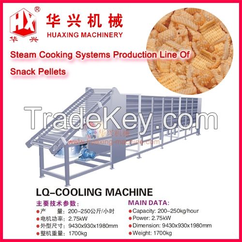 Fresh Potato Chips Production Line