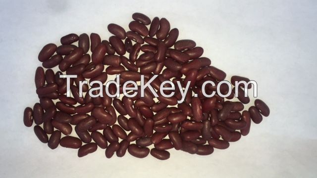 Cashew nuts, coffee, green coffee, cocoa