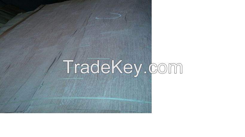 KERUING FACE VENEER