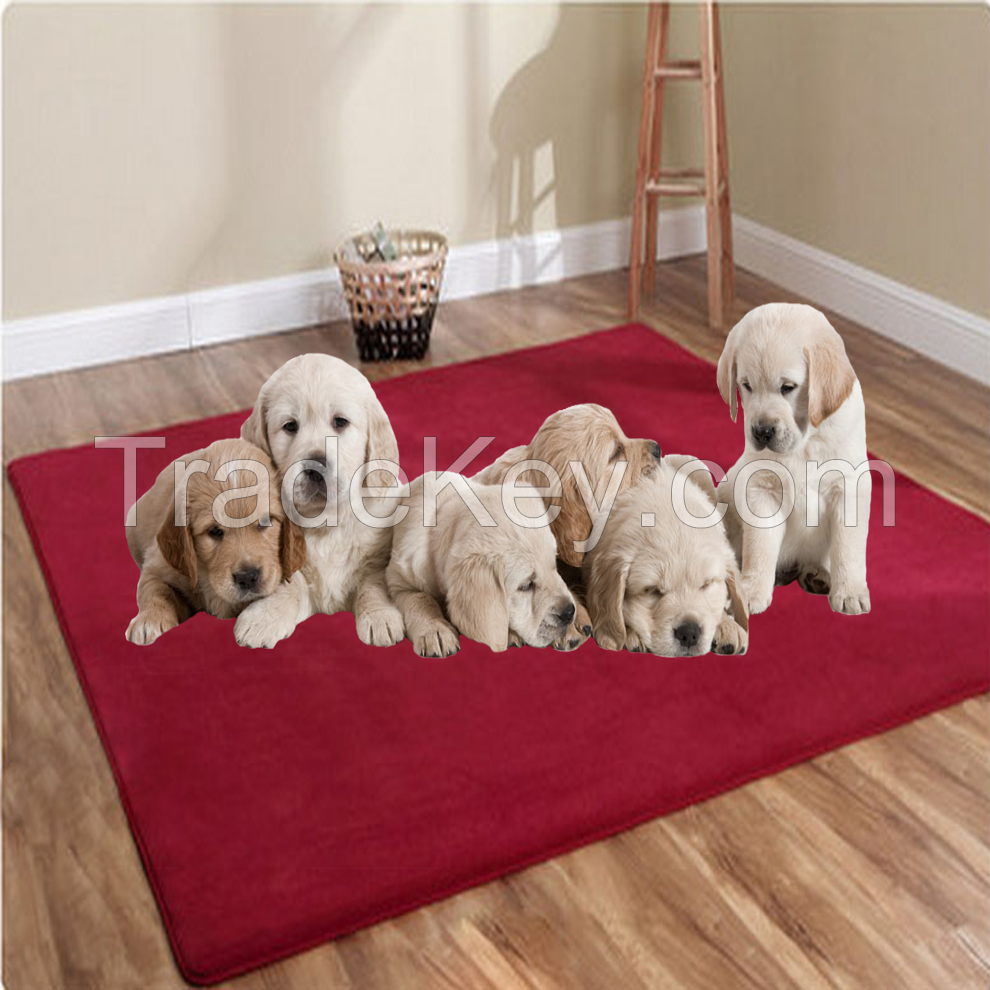 coral fleece pet mat