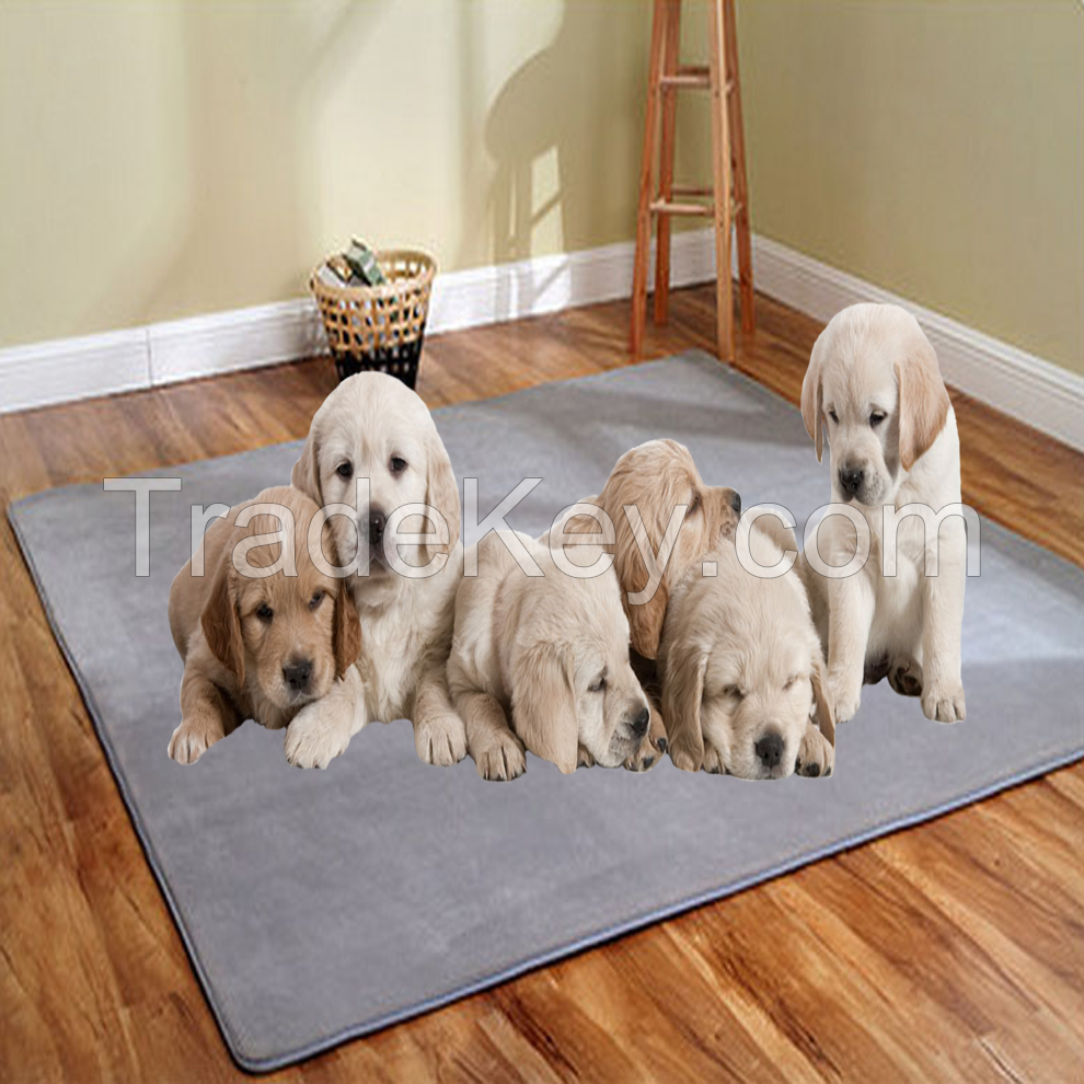 coral fleece pet mat