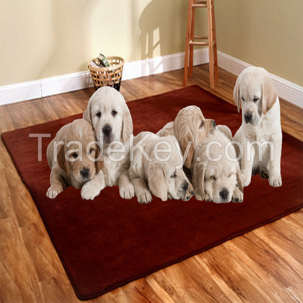 coral fleece pet mat