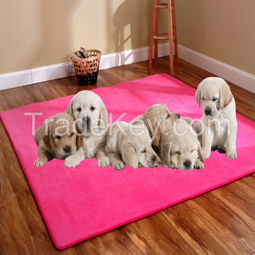 coral fleece pet mat