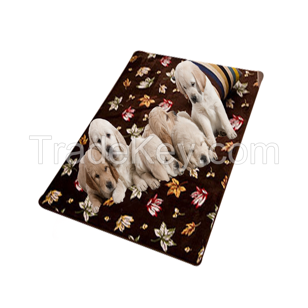 Coral flocking printing pet pad