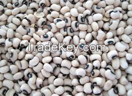 Black Eyed Peas (White)