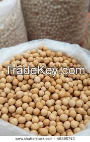 Soybean