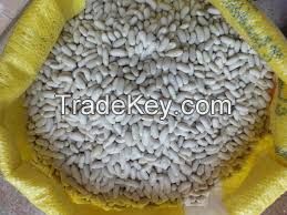 White Kidney beans