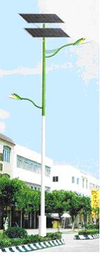 Solar Street Lamp