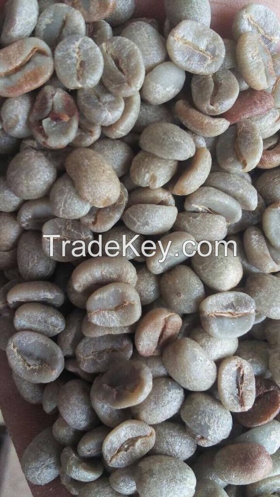 Arabica Coffee Beans