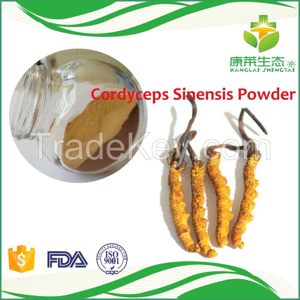 Cordyceps Sinensis Extract