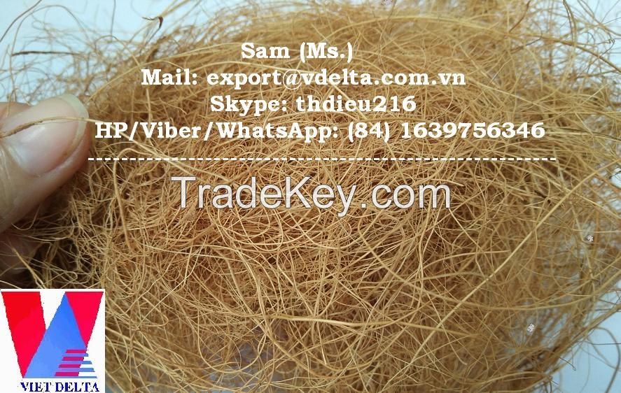 Vietnam Coconut Fiber / Coir Fibre