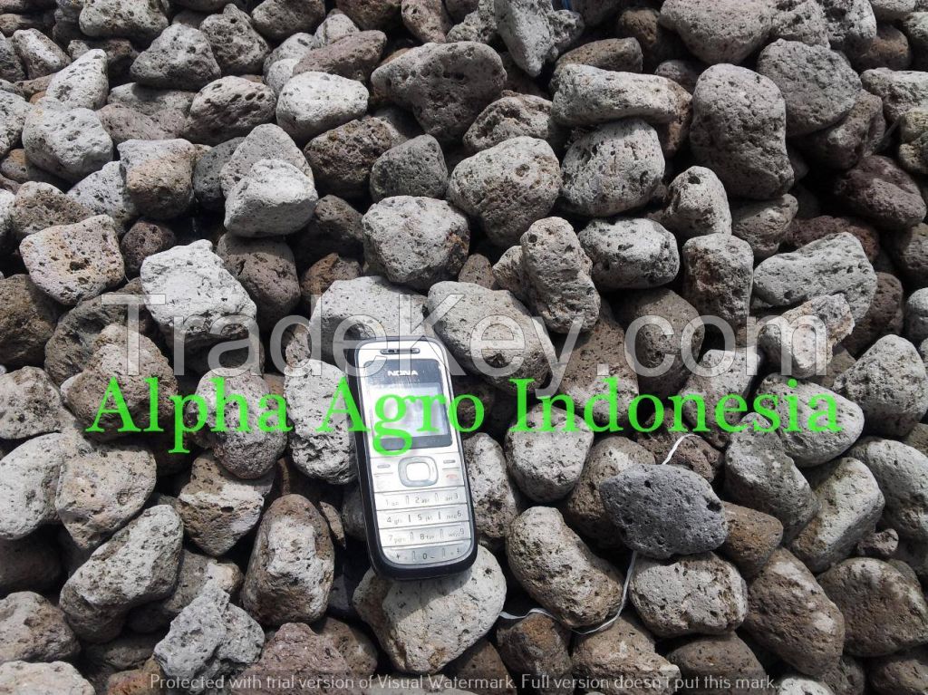 Pumice Stone 