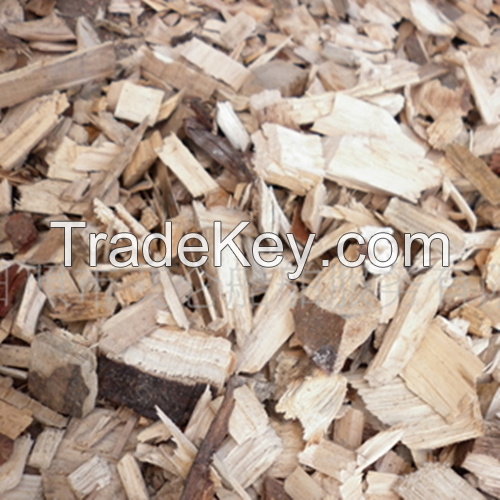 Energy Saving Biomass Burner and Msw Gasifier