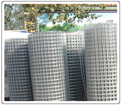 welded wire mesh