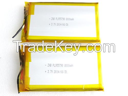 Polymer battery 