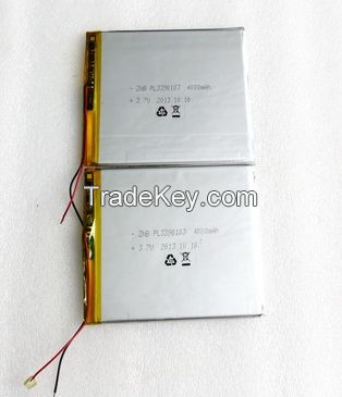 Polymer battery 