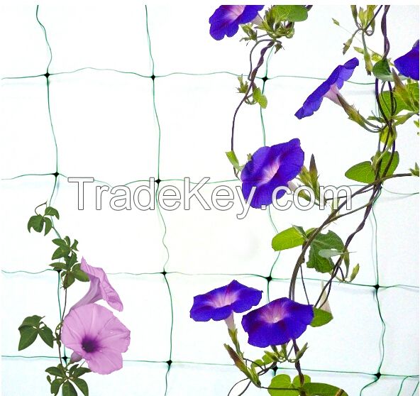 High tensile extruded oriented PP plant support trellis netting