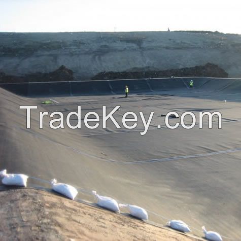 Geomembrane