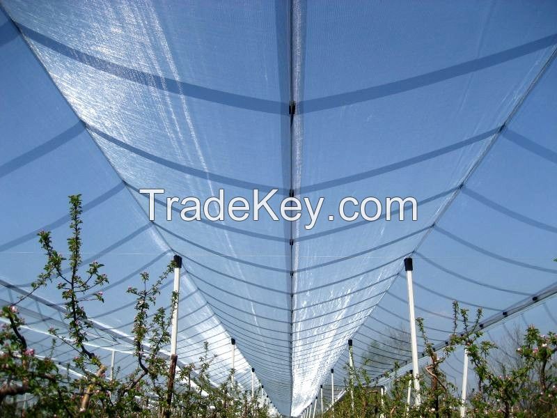 Anti-hail net, olive net, agriculture net, PE shade net