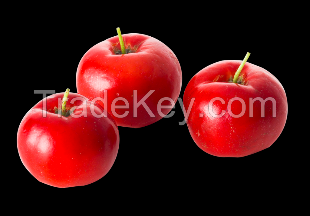 Frozen acerola fruit pulp