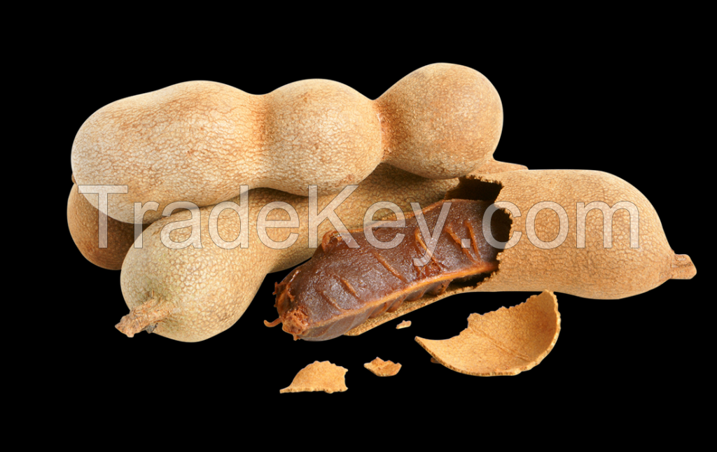 Frozen tamarind fruit pulp