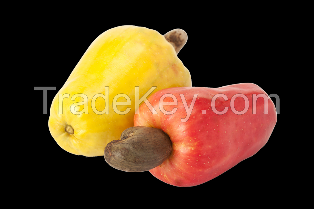 Frozen cashew fruit pulp