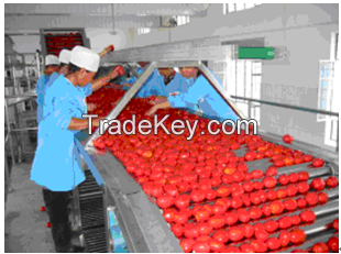 TOMATO PASTE PLANT/MACHINERY